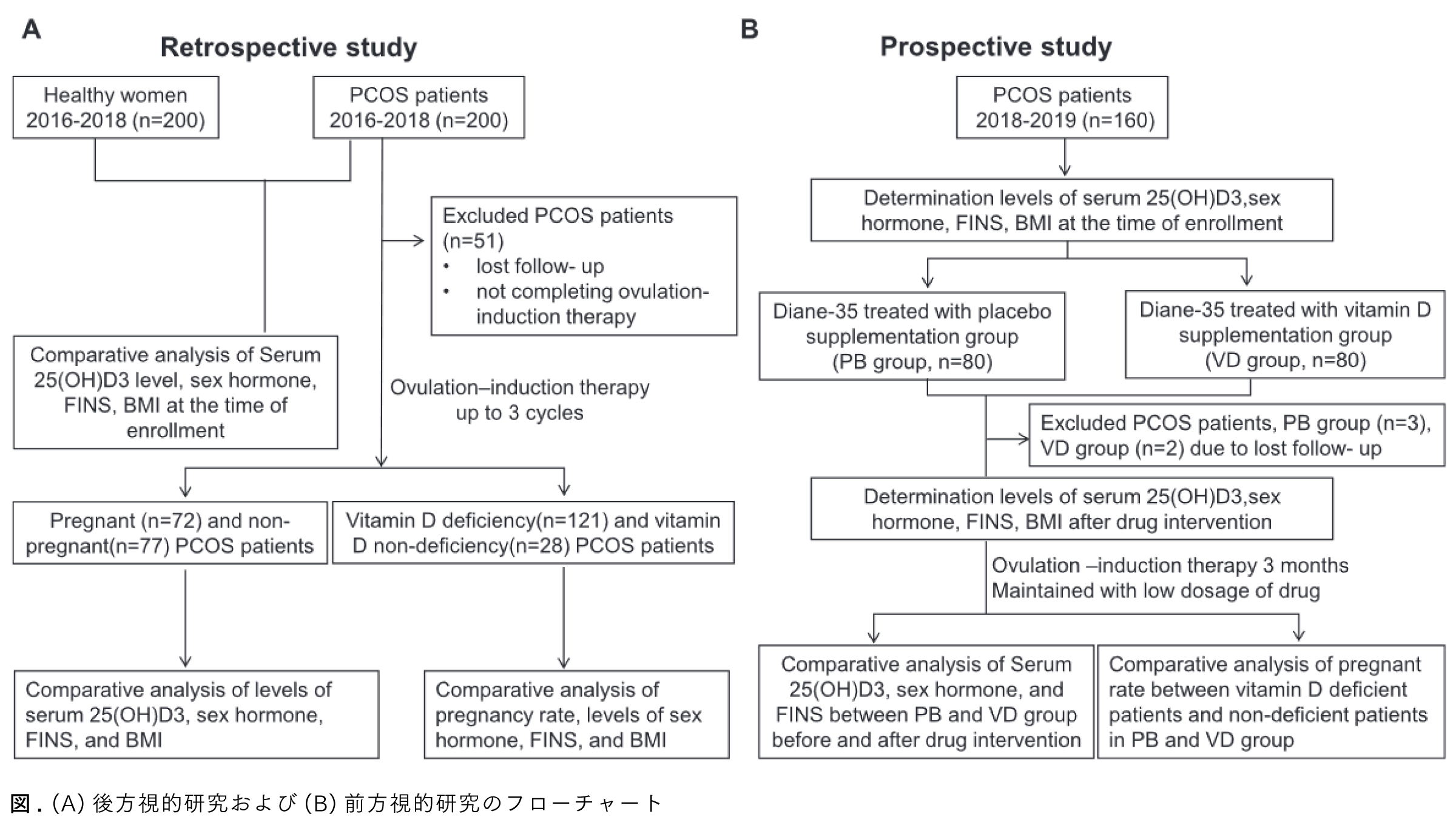 Graphical Abstract 多嚢胞性卵巣症候群女性におけるビタミンDの妊娠への影響：レトロスペクティブ研究とプロスペクティブ研究